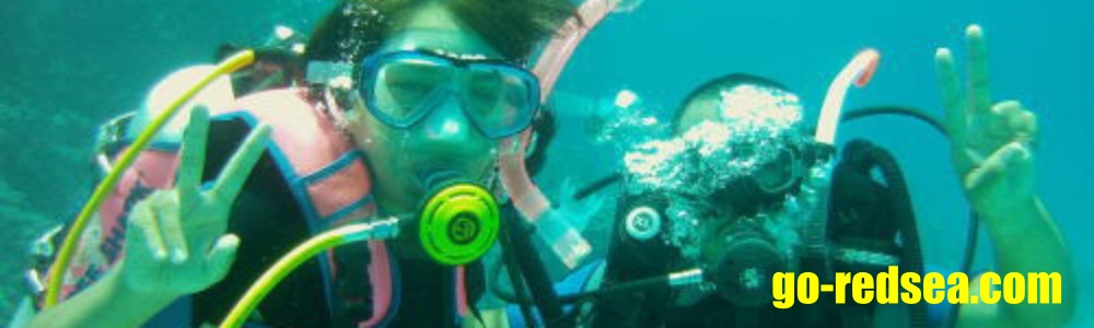 PADI SD
