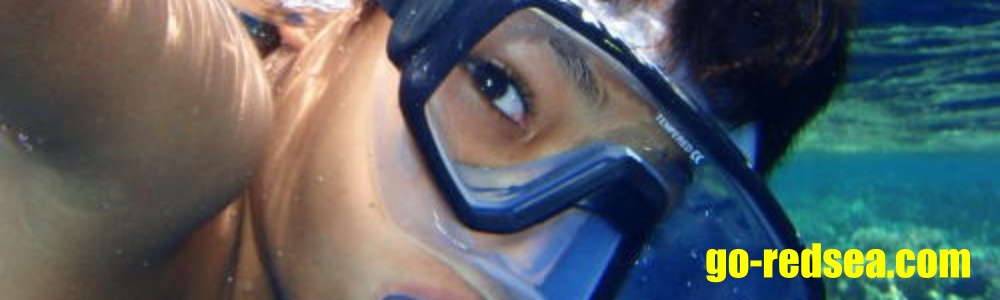 try dive