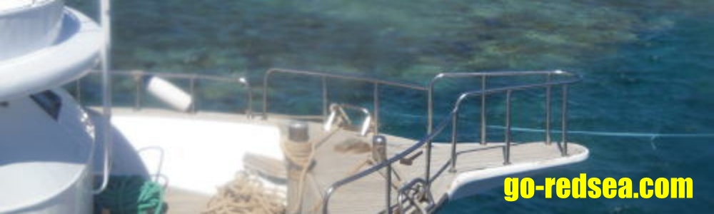 dive cruise
